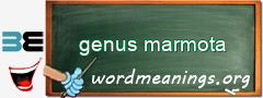 WordMeaning blackboard for genus marmota
